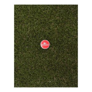 PRG AMERICAS 2 Side Imperial Ball Mark- 1" Top of the Rock