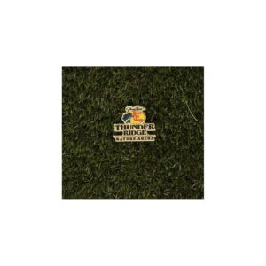 Thunder Ridge Nature Arena- Lapel Pin