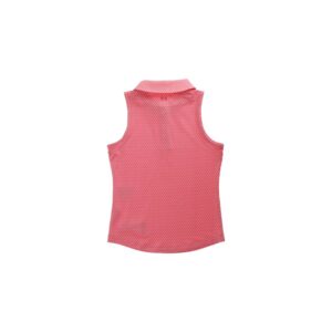 UA PV PINK BACK