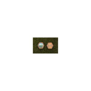 PACIFIC GOLF Wooden Poker Chip- Ozarks National