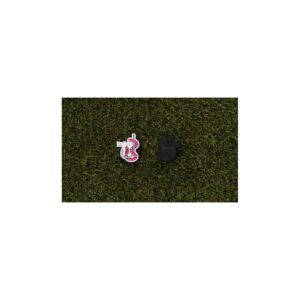 Big Cedar Lodge Hook & Worm Ball Marker