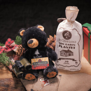 Fun Mountain Stocking Stuffer Bundle