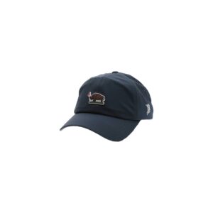BRANDED BILLS Buffalo Ridge Dad Hat