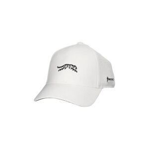 SUN DAY RED Payne's Valley Snapback