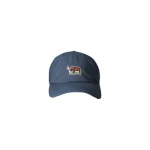 BRANDED BILLS Buffalo Ridge Dad Hat
