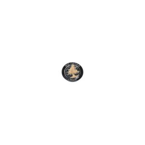 Big Cedar Lodge Swivel Magnet